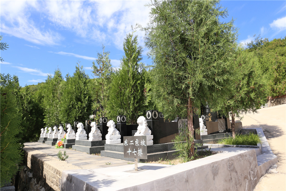龙泉公墓园区景观